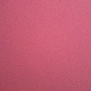 Meet your Posher, Shawntay